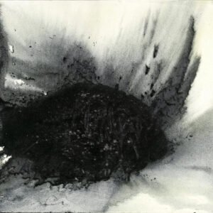 Chaos